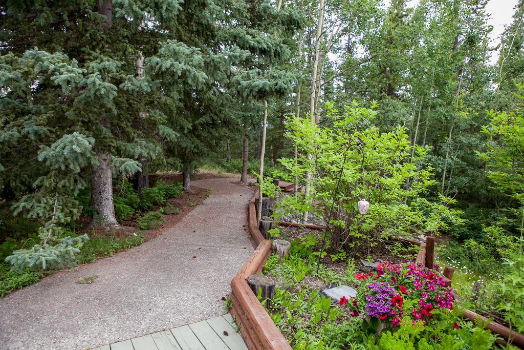 Hidden Valley Bed And Breakfast Whitehorse Exterior foto