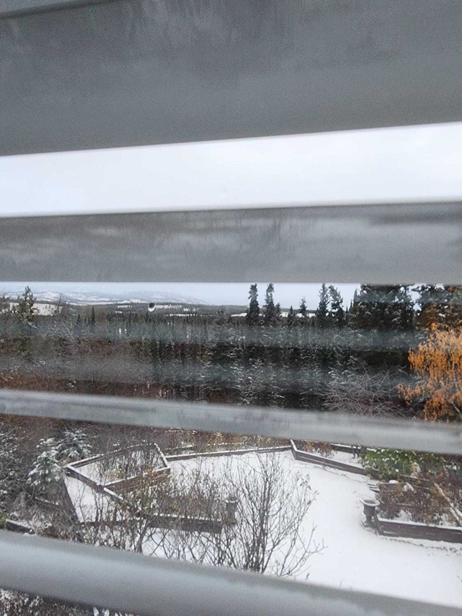 Hidden Valley Bed And Breakfast Whitehorse Exterior foto