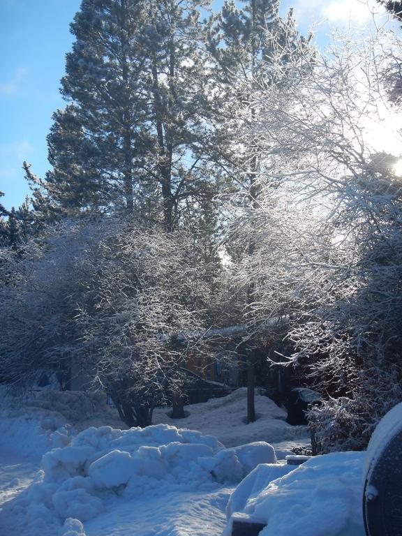 Hidden Valley Bed And Breakfast Whitehorse Exterior foto